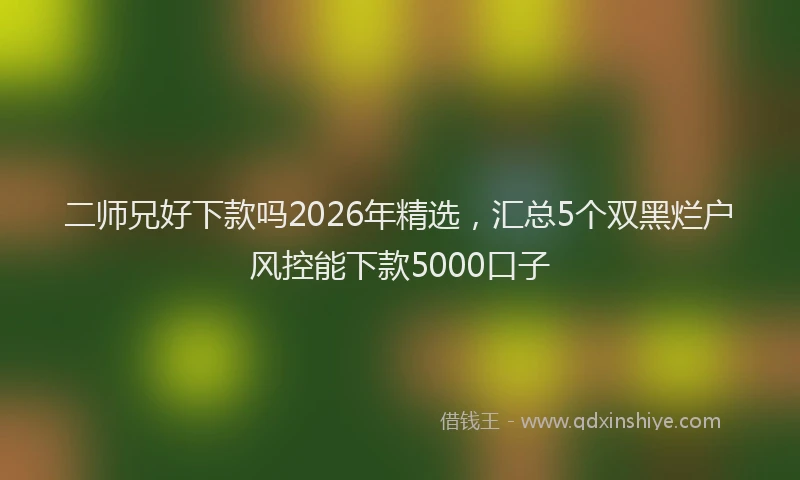 二师兄好下款吗2026年精选,汇总5个双黑烂户风控能下款5000口子