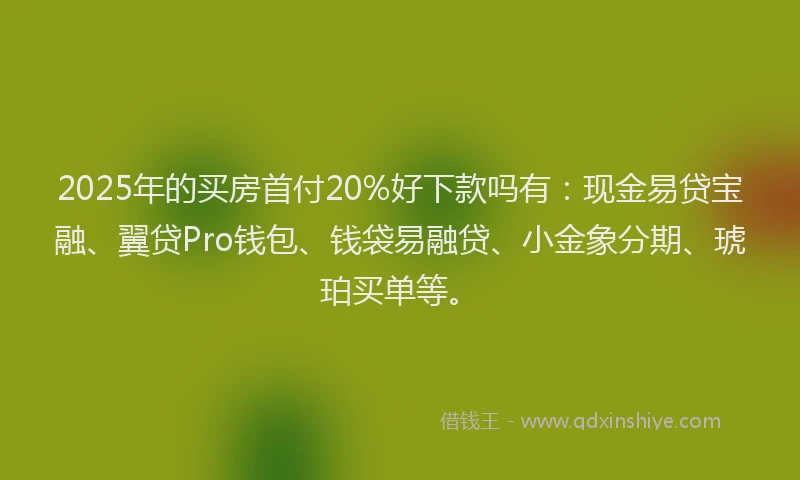 2025年的买房首付20%好下款吗有：现金易贷宝融、翼贷Pro钱包、钱袋易融贷、小金象分期、琥珀买单等。