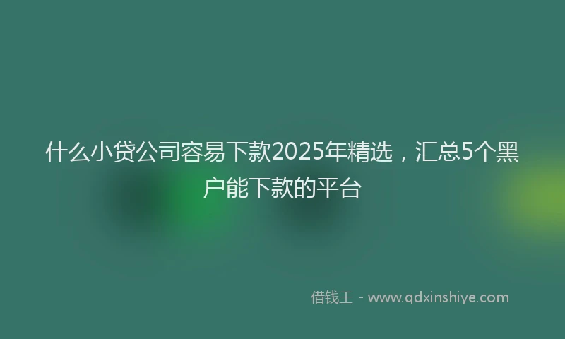 什么小贷公司容易下款2025年精选，汇总5个黑户能下款的平台