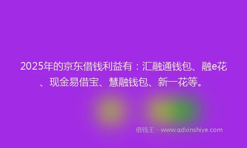 2025年的京东借钱利益有：汇融通钱包、融e花、现金易借宝、慧融钱包、新一花等。