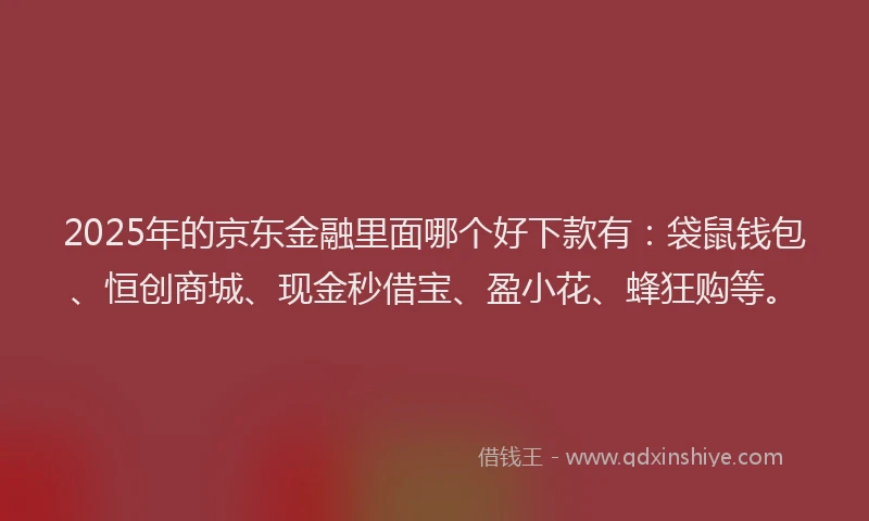 2025年的京东金融里面哪个好下款有：袋鼠钱包、恒创商城、现金秒借宝、盈小花、蜂狂购等。