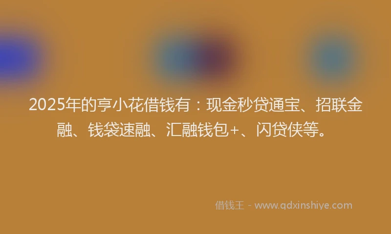 2025年的亨小花借钱有：现金秒贷通宝、招联金融、钱袋速融、汇融钱包+、闪贷侠等。