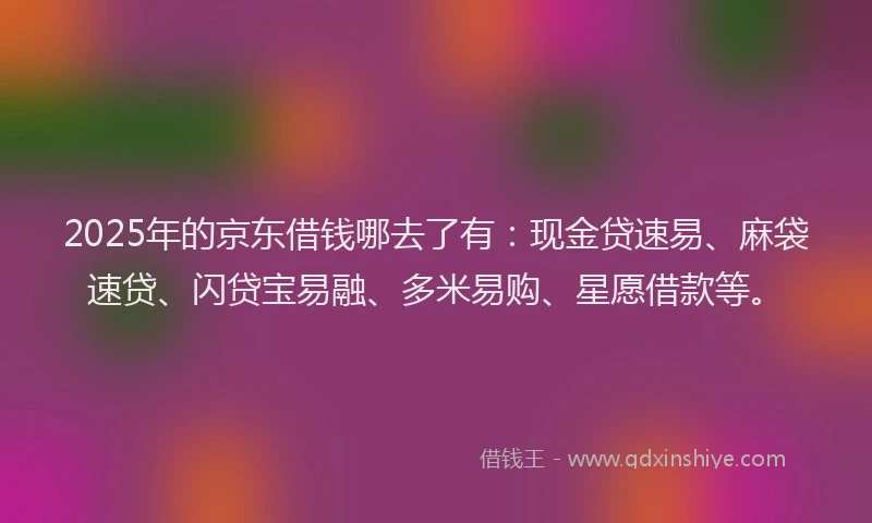 2025年的京东借钱哪去了有：现金贷速易、麻袋速贷、闪贷宝易融、多米易购、星愿借款等。