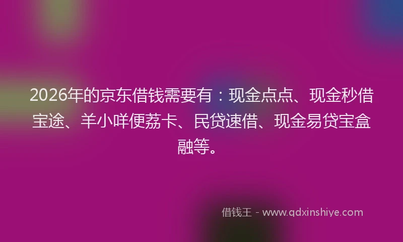 2026年的京东借钱需要有：现金点点、现金秒借宝途、羊小咩便荔卡、民贷速借、现金易贷宝盒融等。