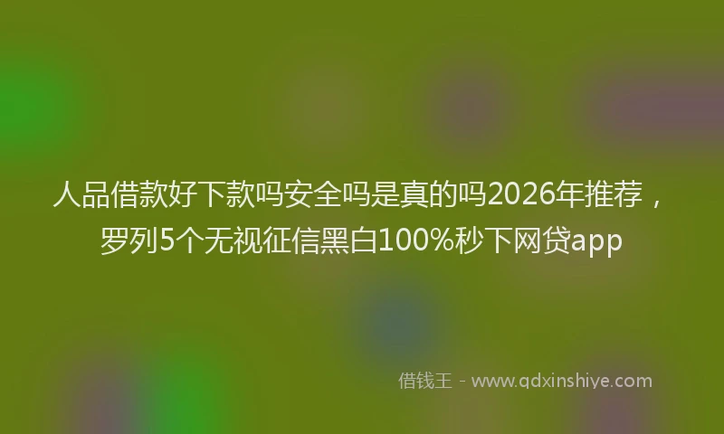 人品借款好下款吗安全吗是真的吗2026年推荐,罗列5个无视征信黑白100%秒下网贷app