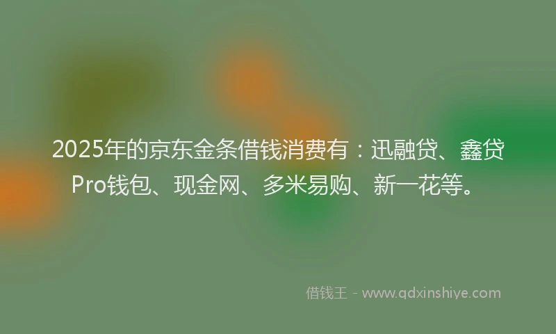 2025年的京东金条借钱消费有：迅融贷、鑫贷Pro钱包、现金网、多米易购、新一花等。