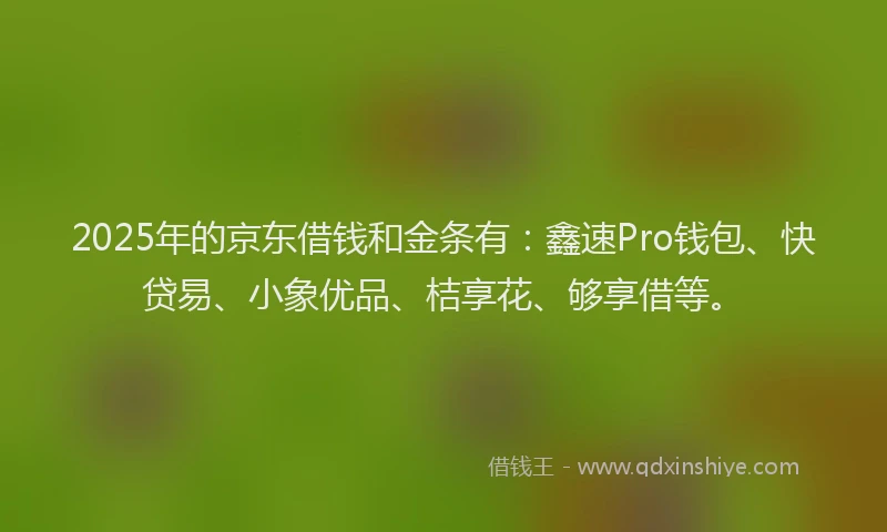 2025年的京东借钱和金条有：鑫速Pro钱包、快贷易、小象优品、桔享花、够享借等。