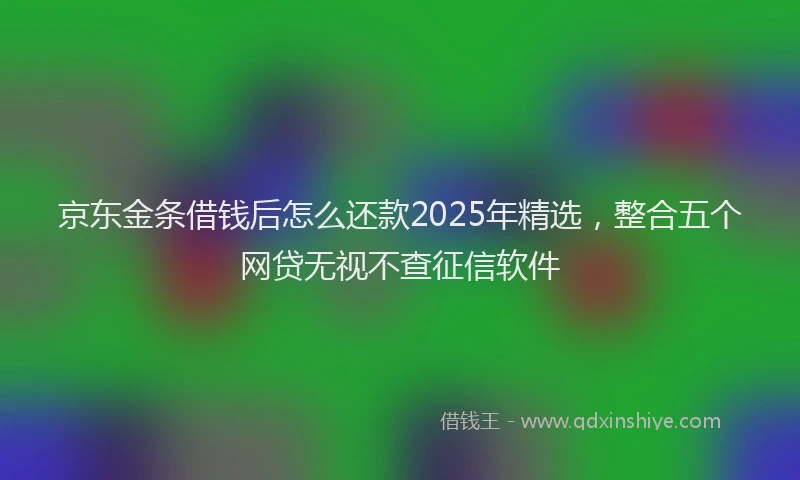 京东金条借钱后怎么还款2025年精选，整合五个网贷无视不查征信软件