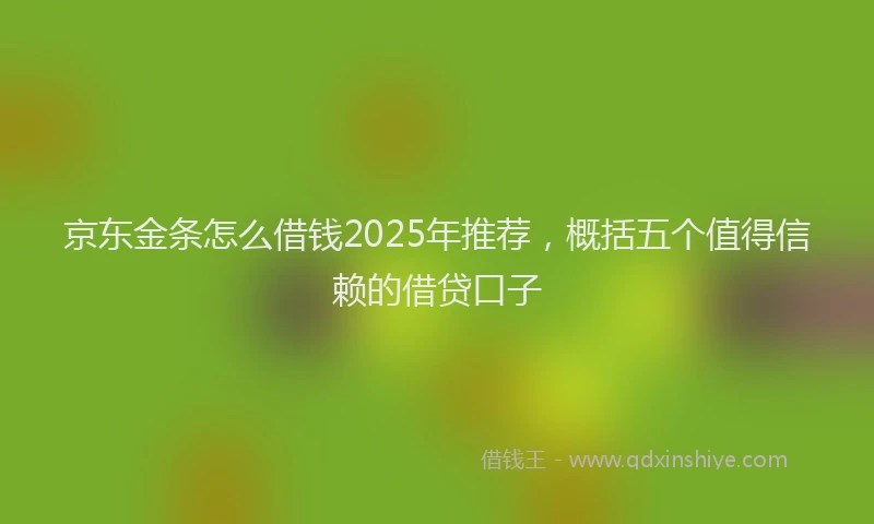 京东金条怎么借钱2025年推荐，概括五个值得信赖的借贷口子