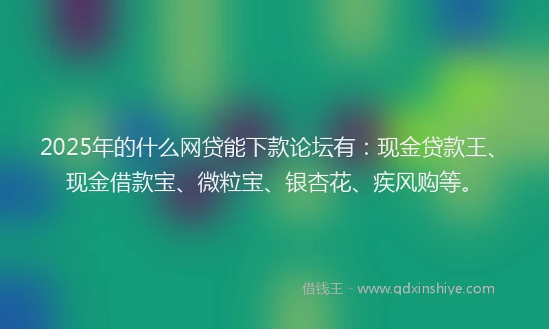 2025年的什么网贷能下款论坛有：现金贷款王、现金借款宝、微粒宝、银杏花、疾风购等。