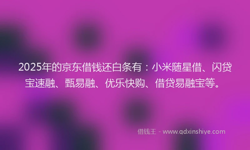 2025年的京东借钱还白条有：小米随星借、闪贷宝速融、甄易融、优乐快购、借贷易融宝等。