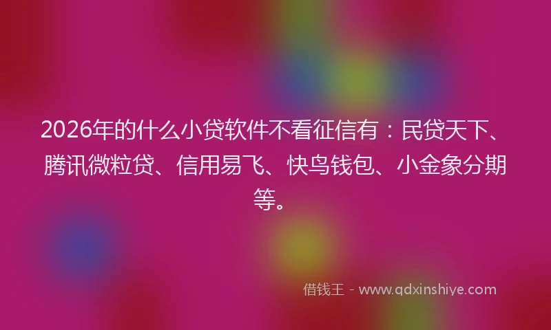 2026年的什么小贷软件不看征信有:民贷天下、腾讯微粒贷、信用易飞、快鸟钱包、小金象分期等。