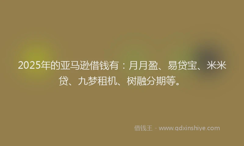 2025年的亚马逊借钱有:月月盈、易贷宝、米米贷、九梦租机、树融分期等。
