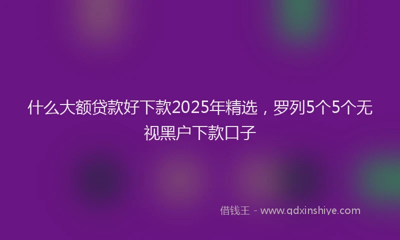 什么大额贷款好下款2025年精选，罗列5个5个无视黑户下款口子
