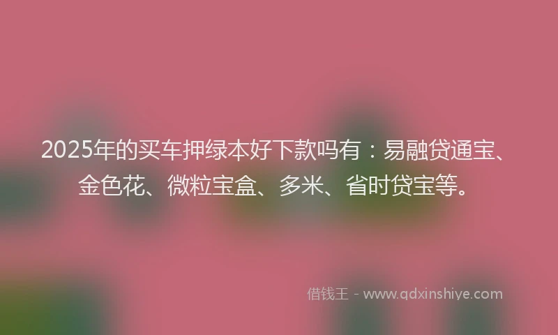 2025年的买车押绿本好下款吗有：易融贷通宝、金色花、微粒宝盒、多米、省时贷宝等。