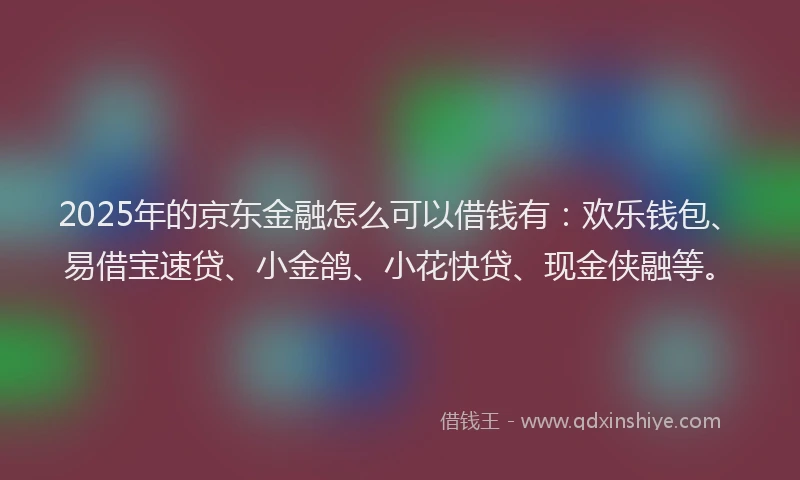 2025年的京东金融怎么可以借钱有:欢乐钱包、易借宝速贷、小金鸽、小花快贷、现金侠融等。