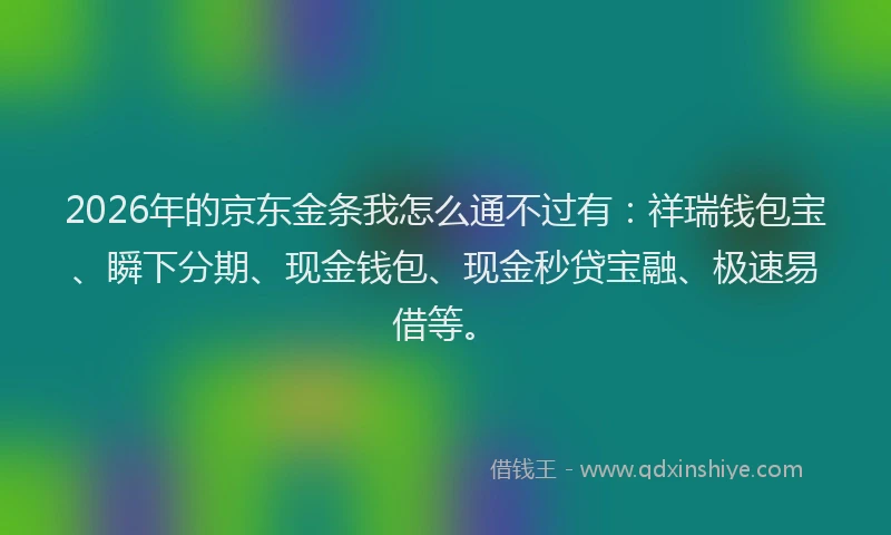 2026年的京东金条我怎么通不过有：祥瑞钱包宝、瞬下分期、现金钱包、现金秒贷宝融、极速易借等。