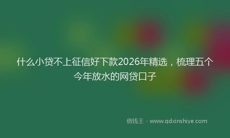 什么小贷不上征信好下款2026年精选，梳理五个今年放水的网贷口子