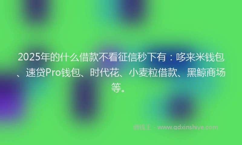 2025年的什么借款不看征信秒下有：哆来米钱包、速贷Pro钱包、时代花、小麦粒借款、黑鲸商场等。