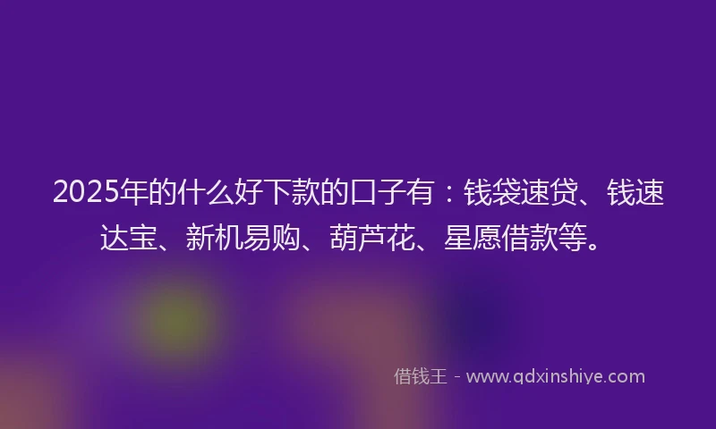 2025年的什么好下款的口子有：钱袋速贷、钱速达宝、新机易购、葫芦花、星愿借款等。