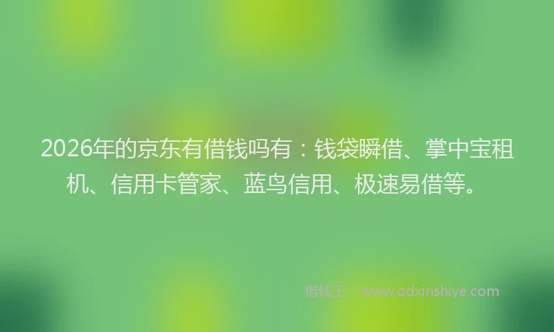 2026年的京东有借钱吗有：钱袋瞬借、掌中宝租机、信用卡管家、蓝鸟信用、极速易借等。