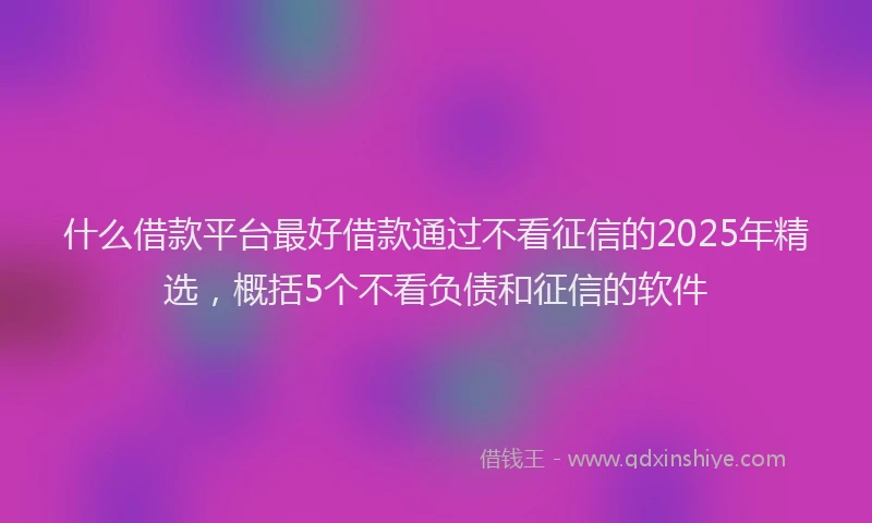 什么借款平台最好借款通过不看征信的2025年精选，概括5个不看负债和征信的软件