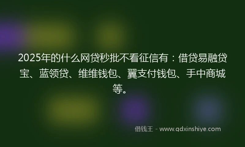 2025年的什么网贷秒批不看征信有：借贷易融贷宝、蓝领贷、维维钱包、翼支付钱包、手中商城等。