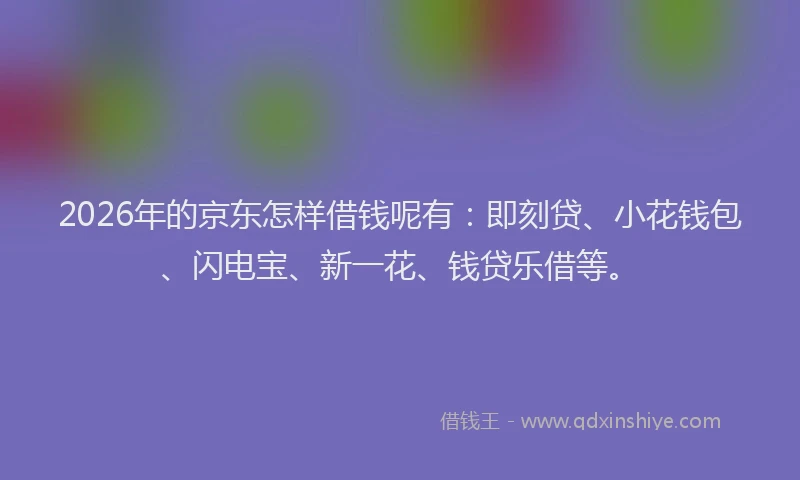 2026年的京东怎样借钱呢有：即刻贷、小花钱包、闪电宝、新一花、钱贷乐借等。