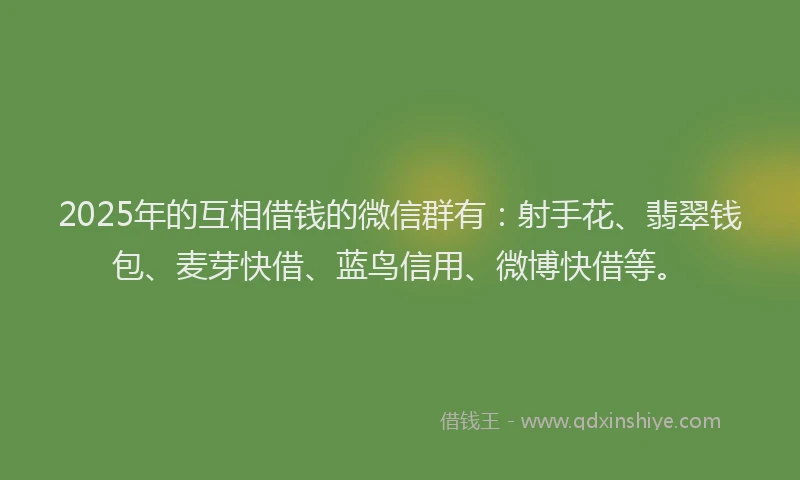 2025年的互相借钱的微信群有：射手花、翡翠钱包、麦芽快借、蓝鸟信用、微博快借等。
