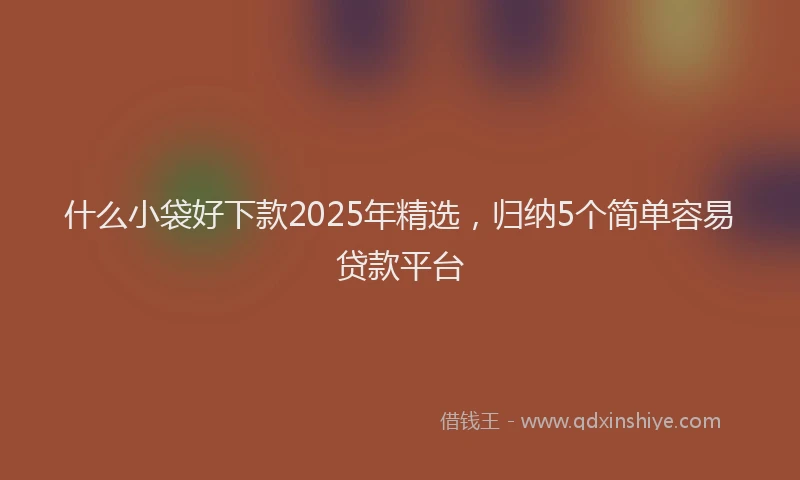 什么小袋好下款2025年精选,归纳5个简单容易贷款平台