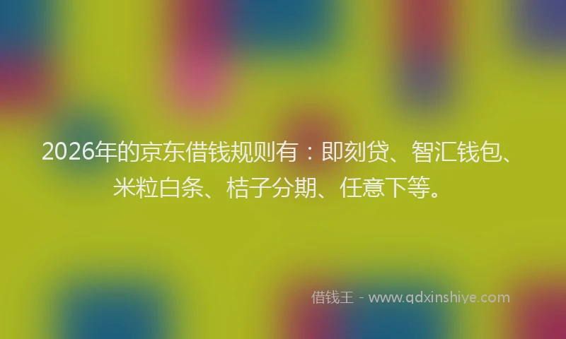 2026年的京东借钱规则有:即刻贷、智汇钱包、米粒白条、桔子分期、任意下等。