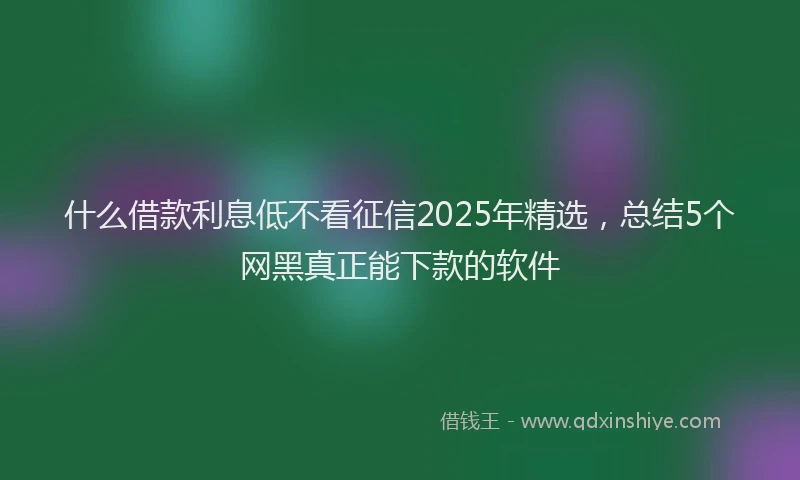 什么借款利息低不看征信2025年精选，总结5个网黑真正能下款的软件