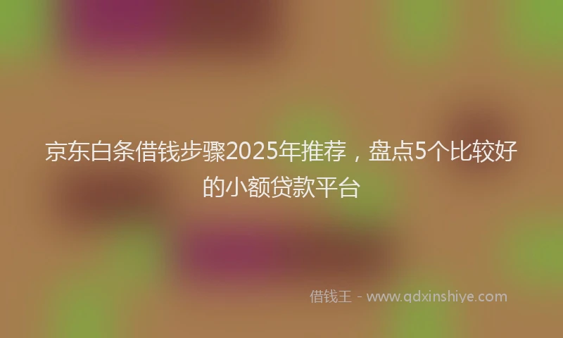 京东白条借钱步骤2025年推荐，盘点5个比较好的小额贷款平台