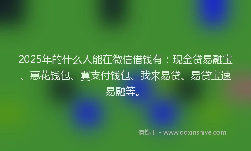 2025年的什么人能在微信借钱有：现金贷易融宝、惠花钱包、翼支付钱包、我来易贷、易贷宝速易融等。
