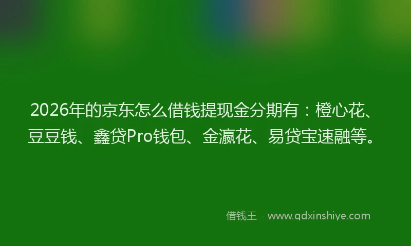 2026年的京东怎么借钱提现金分期有：橙心花、豆豆钱、鑫贷Pro钱包、金瀛花、易贷宝速融等。