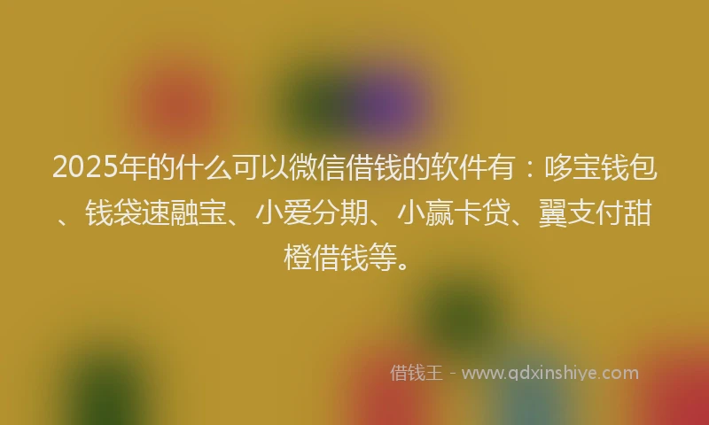 2025年的什么可以微信借钱的软件有：哆宝钱包、钱袋速融宝、小爱分期、小赢卡贷、翼支付甜橙借钱等。