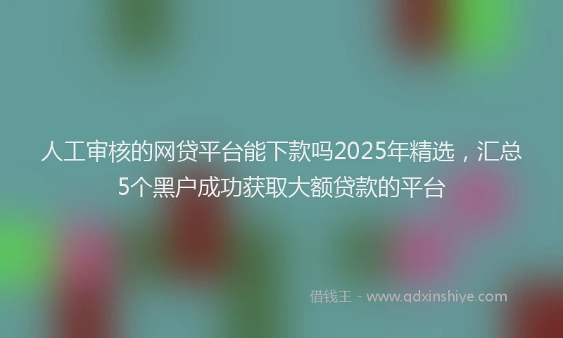 人工审核的网贷平台能下款吗2025年精选，汇总5个黑户成功获取大额贷款的平台
