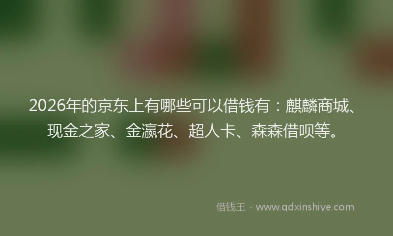 2026年的京东上有哪些可以借钱有：麒麟商城、现金之家、金瀛花、超人卡、森森借呗等。