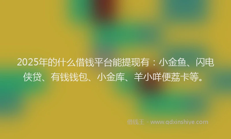 2025年的什么借钱平台能提现有：小金鱼、闪电侠贷、有钱钱包、小金库、羊小咩便荔卡等。