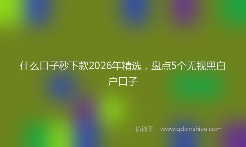 什么口子秒下款2026年精选，盘点5个无视黑白户口子