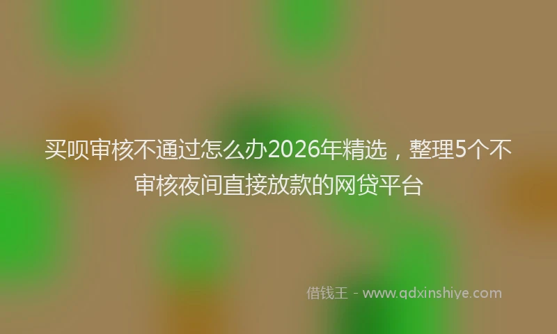 买呗审核不通过怎么办2026年精选，整理5个不审核夜间直接放款的网贷平台