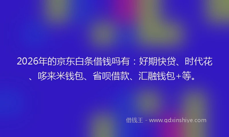 2026年的京东白条借钱吗有：好期快贷、时代花、哆来米钱包、省呗借款、汇融钱包+等。