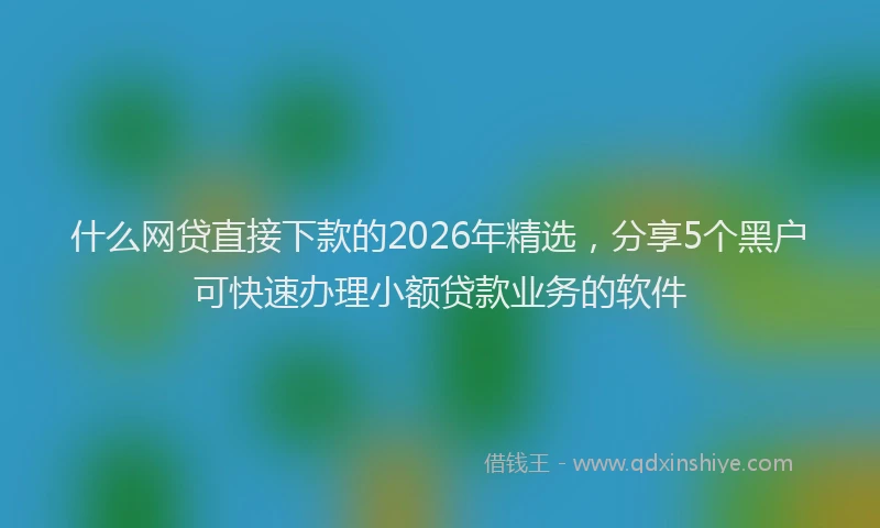 什么网贷直接下款的2026年精选，分享5个黑户可快速办理小额贷款业务的软件