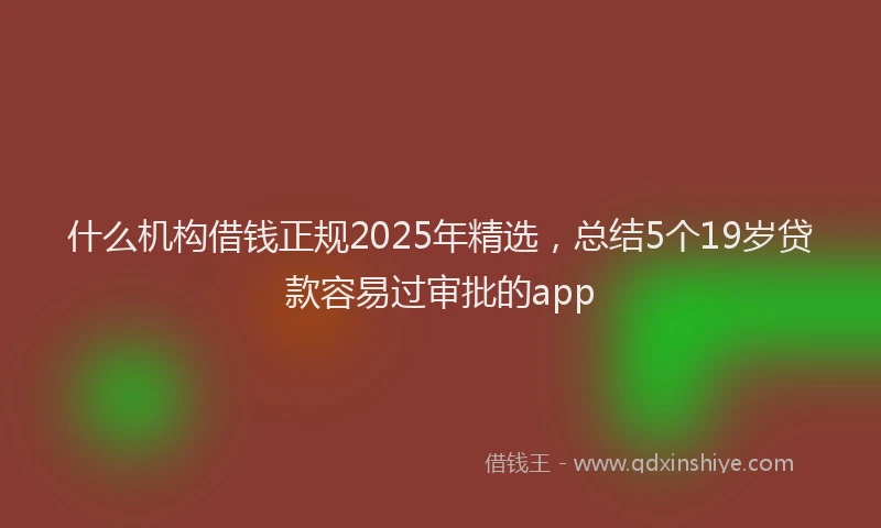 什么机构借钱正规2025年精选，总结5个19岁贷款容易过审批的app