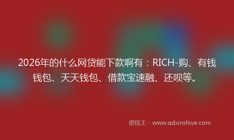 2026年的什么网贷能下款啊有：RICH-购、有钱钱包、天天钱包、借款宝速融、还呗等。
