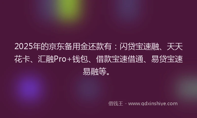 2025年的京东备用金还款有：闪贷宝速融、天天花卡、汇融Pro+钱包、借款宝速借通、易贷宝速易融等。