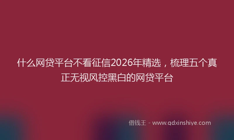 什么网贷平台不看征信2026年精选,梳理五个真正无视风控黑白的网贷平台