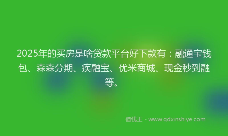 2025年的买房是啥贷款平台好下款有：融通宝钱包、森森分期、疾融宝、优米商城、现金秒到融等。