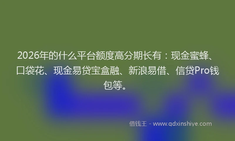 2026年的什么平台额度高分期长有：现金蜜蜂、口袋花、现金易贷宝盒融、新浪易借、信贷Pro钱包等。