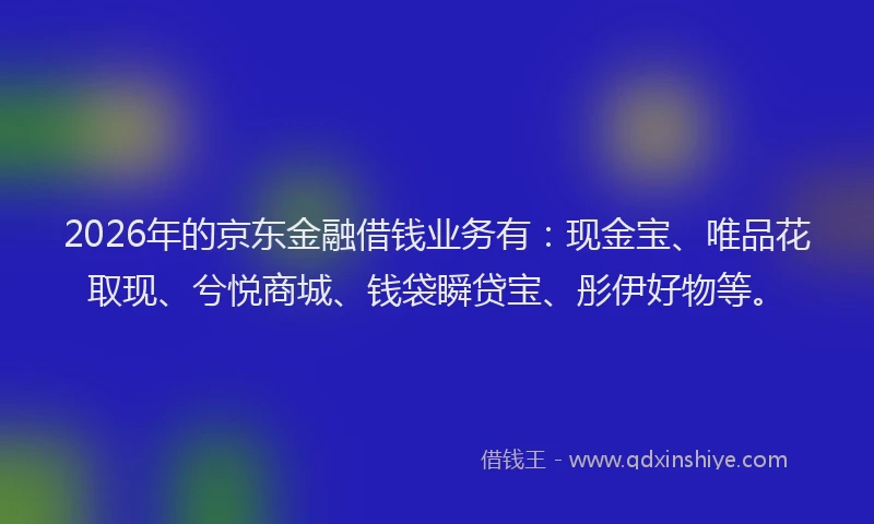2026年的京东金融借钱业务有：现金宝、唯品花取现、兮悦商城、钱袋瞬贷宝、彤伊好物等。